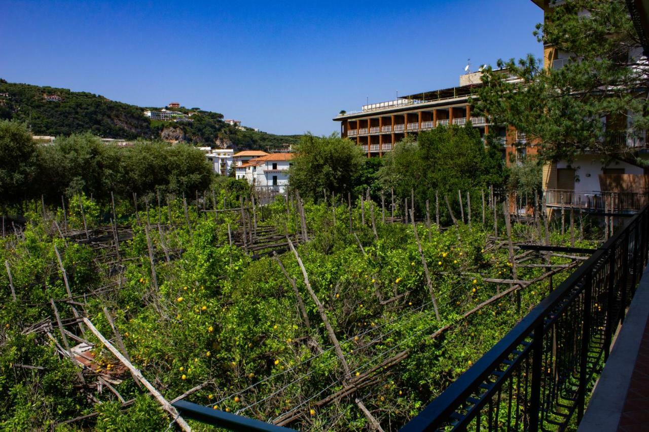 Flower'S Home Σορέντο Εξωτερικό φωτογραφία
