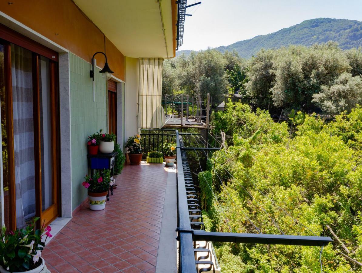 Flower'S Home Σορέντο Εξωτερικό φωτογραφία